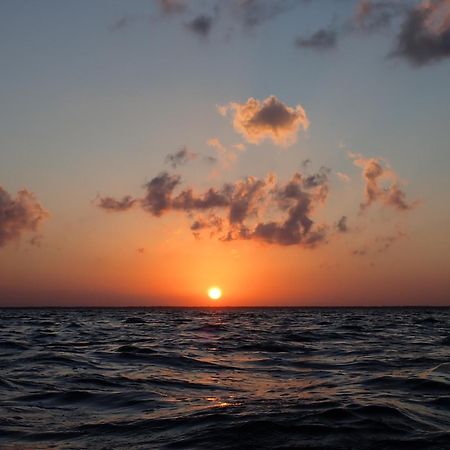 Ikarus Costa Mujeres Eco Lodge Sunset View Cancun Bagian luar foto