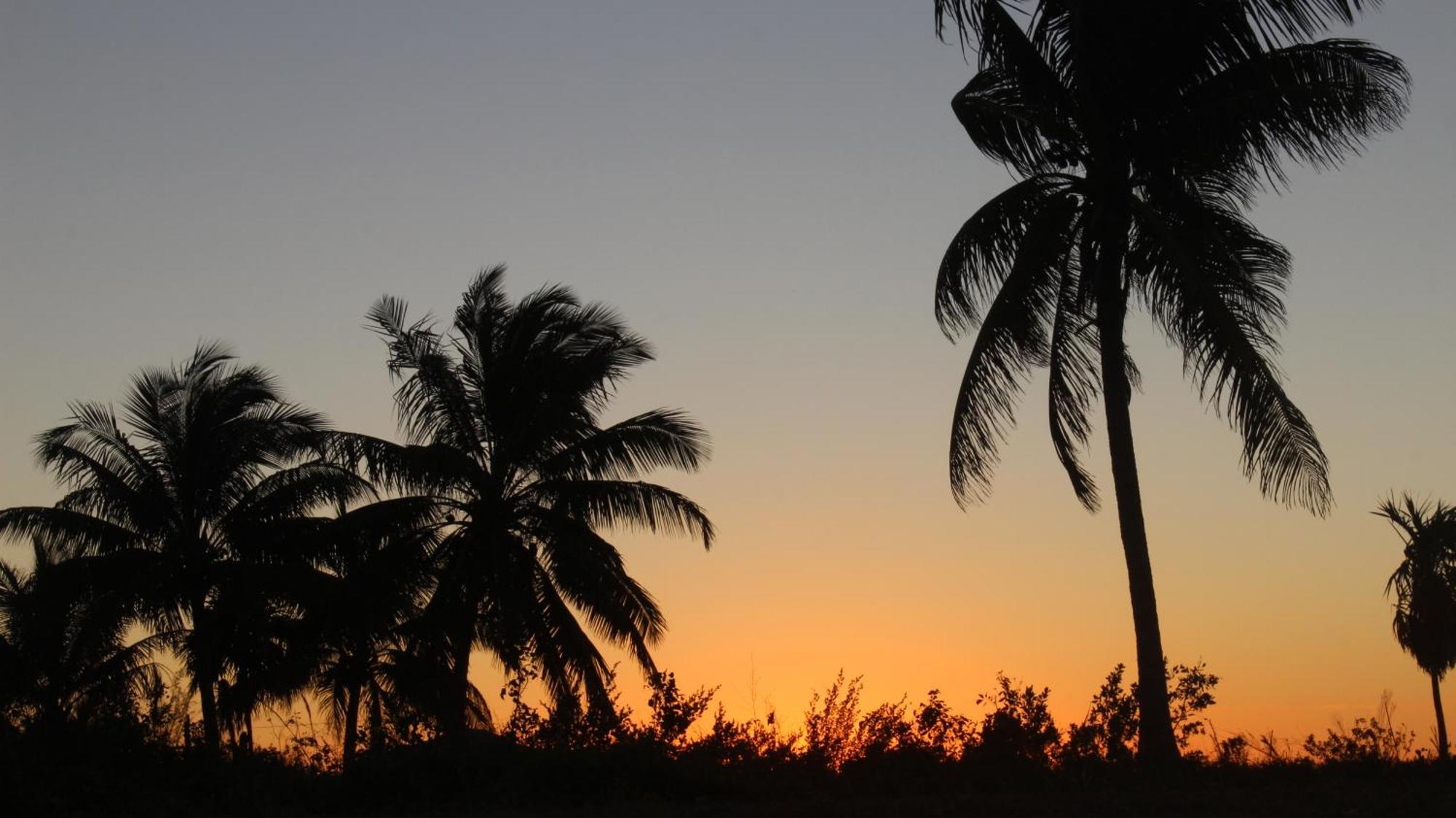 Ikarus Costa Mujeres Eco Lodge Sunset View Cancun Bagian luar foto