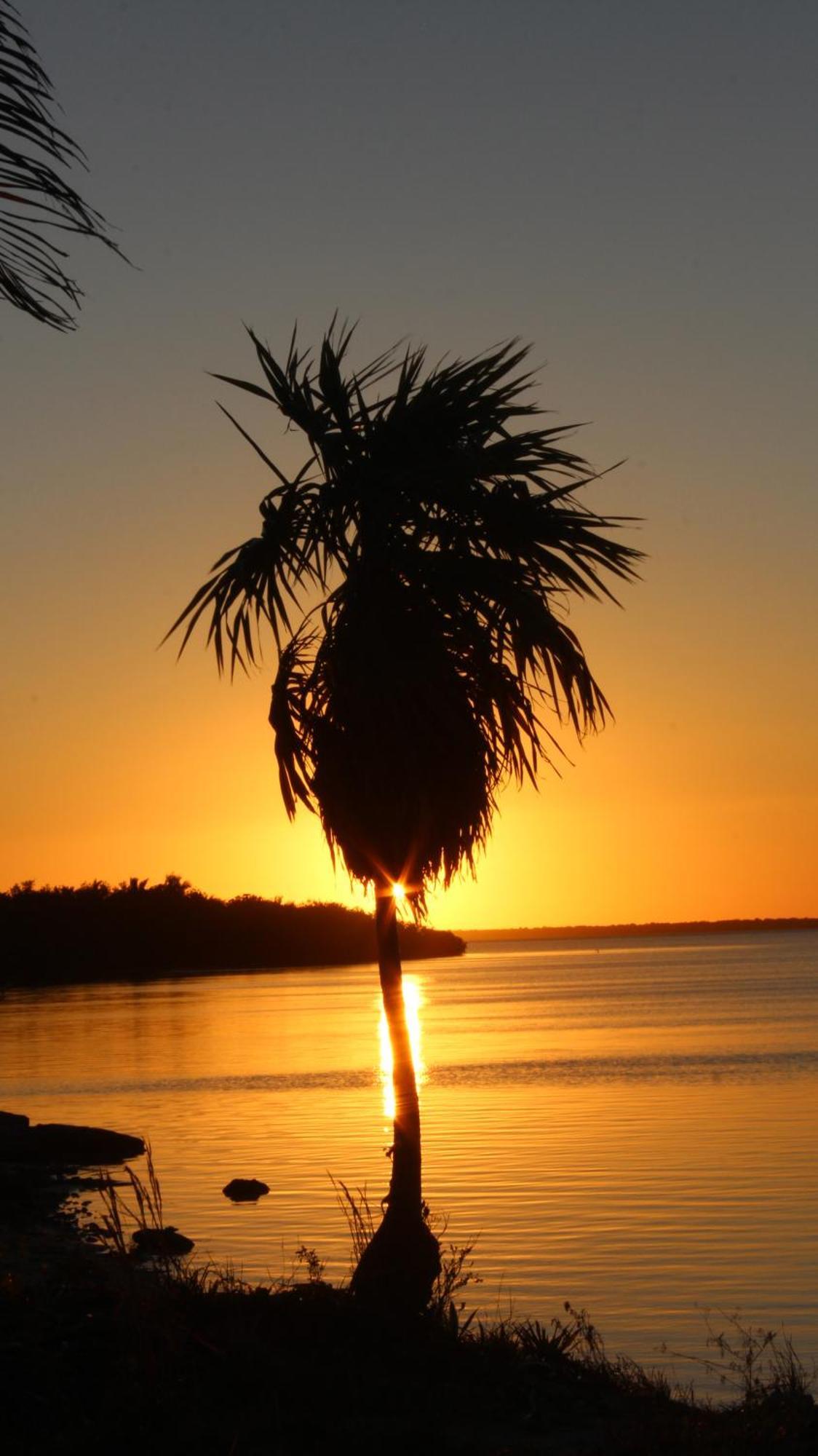 Ikarus Costa Mujeres Eco Lodge Sunset View Cancun Bagian luar foto