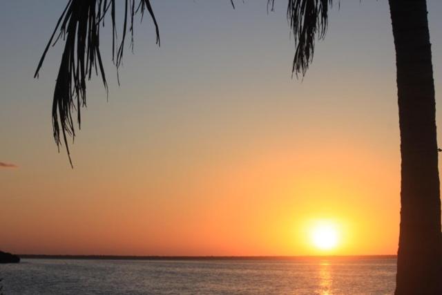 Ikarus Costa Mujeres Eco Lodge Sunset View Cancun Bagian luar foto
