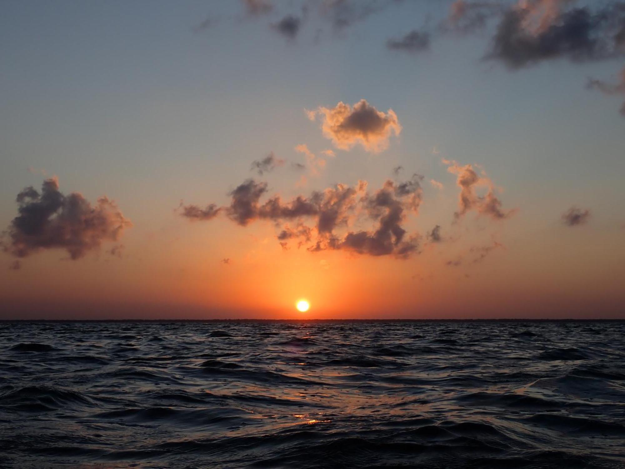Ikarus Costa Mujeres Eco Lodge Sunset View Cancun Bagian luar foto