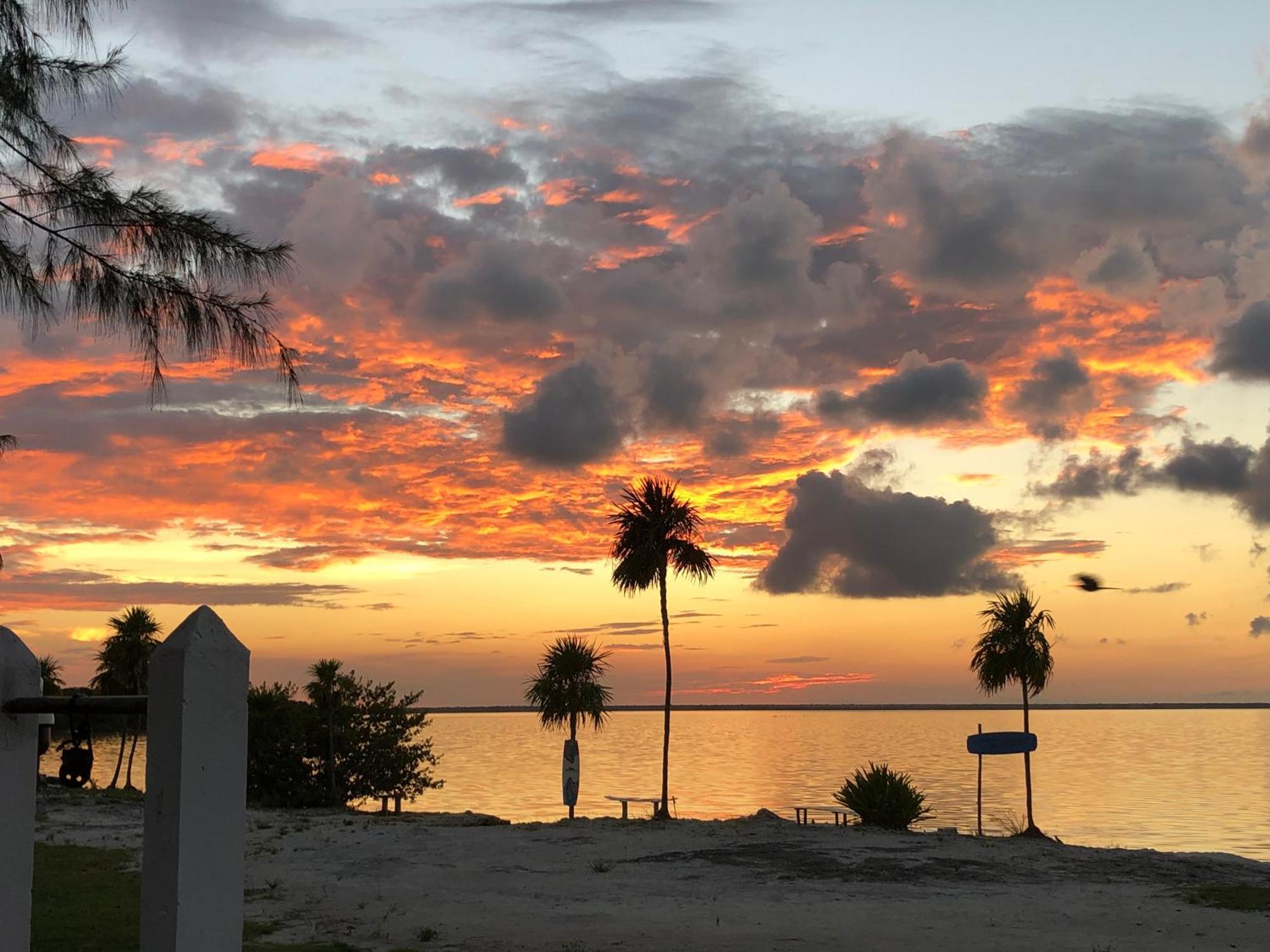 Ikarus Costa Mujeres Eco Lodge Sunset View Cancun Bagian luar foto