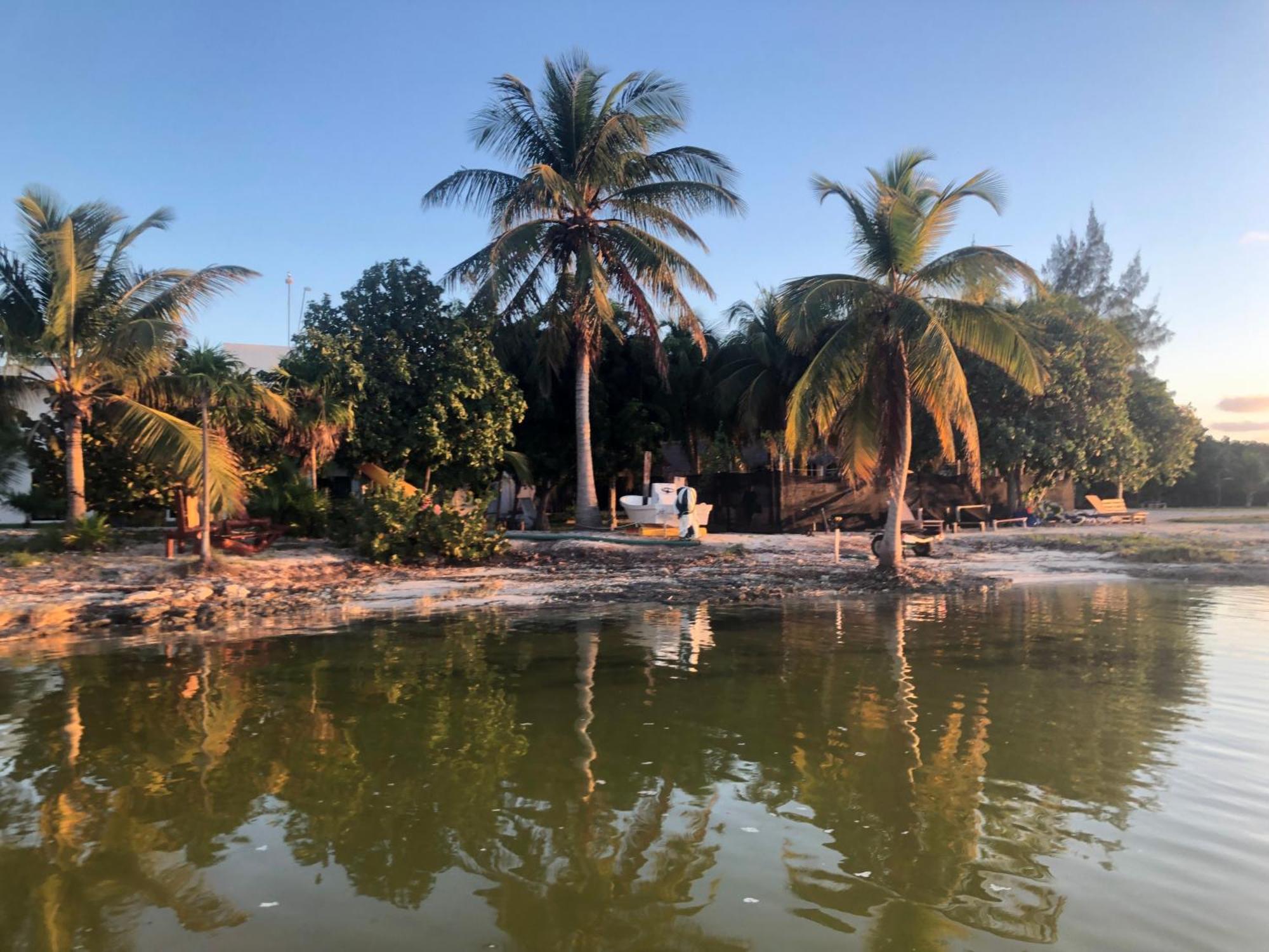 Ikarus Costa Mujeres Eco Lodge Sunset View Cancun Bagian luar foto