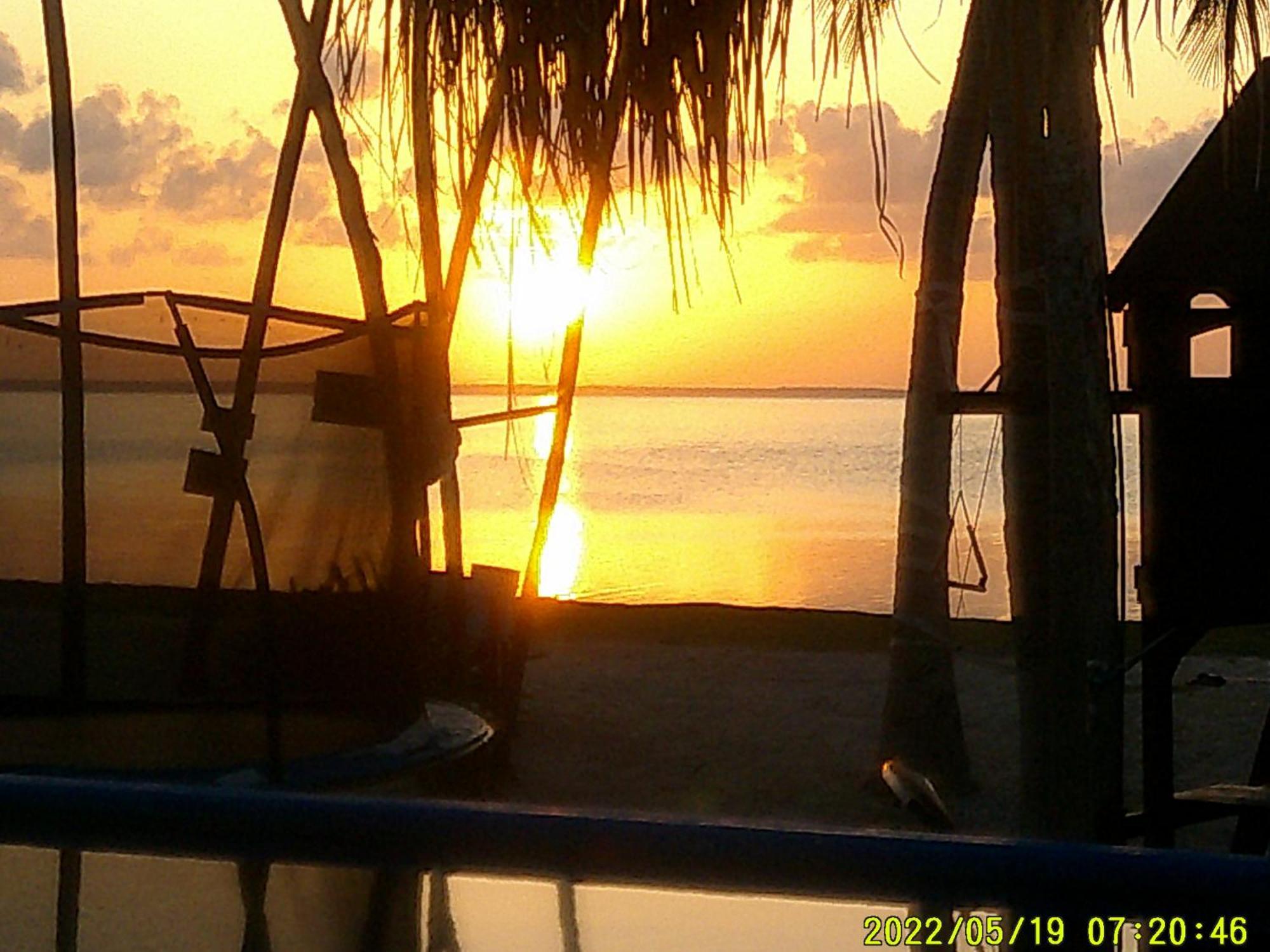 Ikarus Costa Mujeres Eco Lodge Sunset View Cancun Bagian luar foto