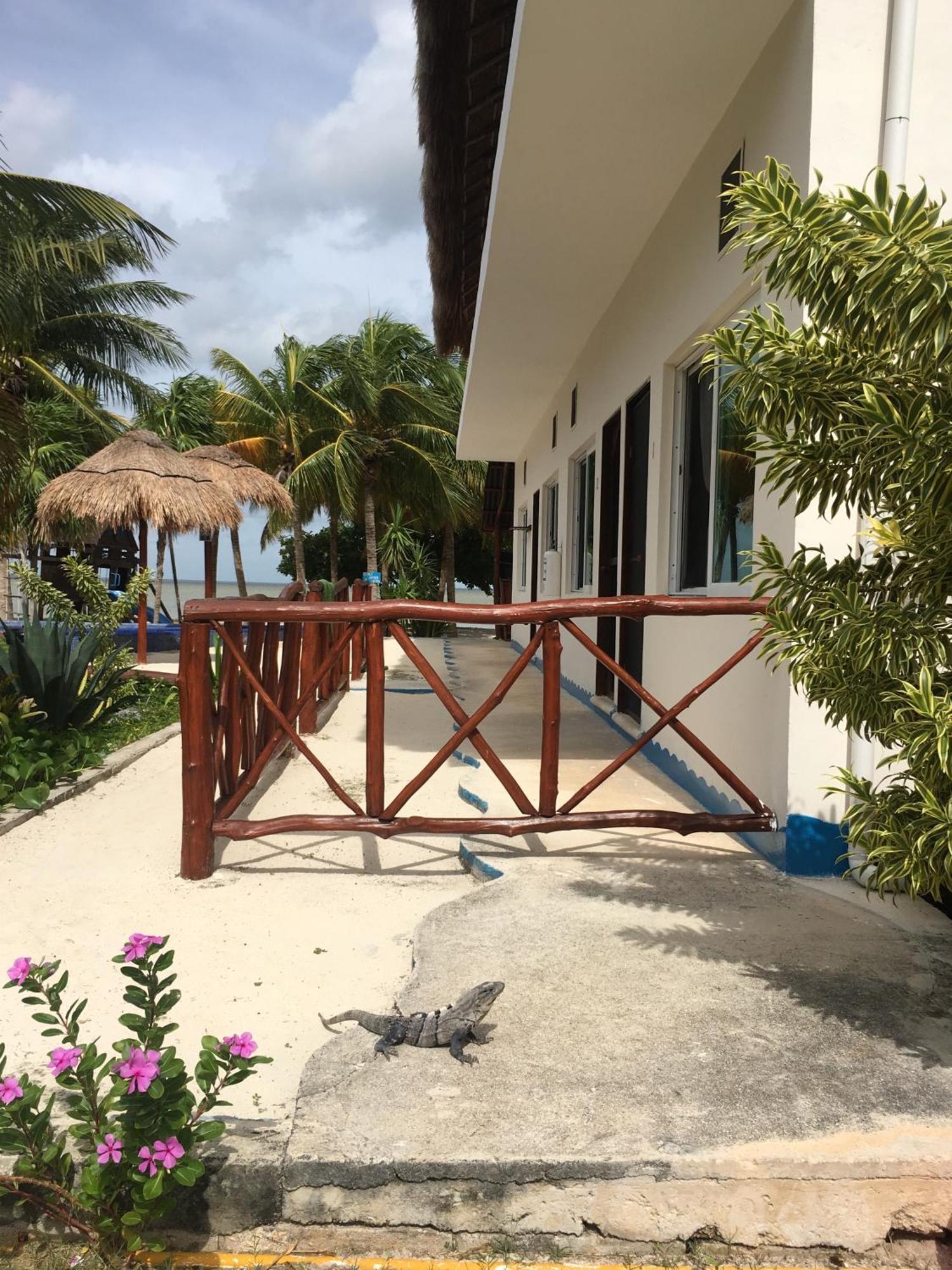 Ikarus Costa Mujeres Eco Lodge Sunset View Cancun Bagian luar foto