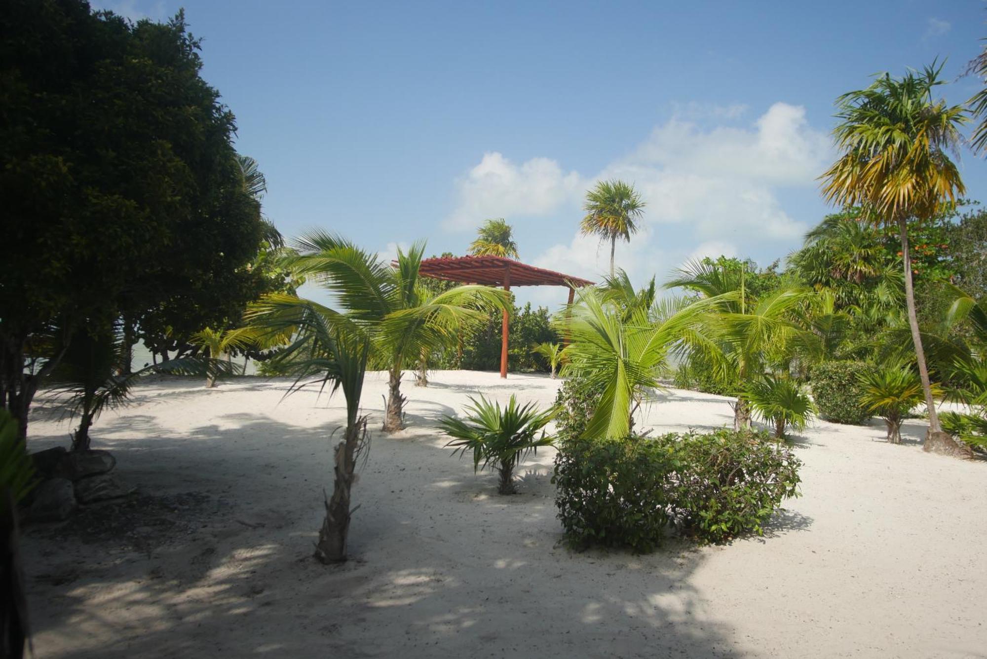 Ikarus Costa Mujeres Eco Lodge Sunset View Cancun Bagian luar foto